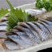 秋刀魚（さんま）の刺身の食中毒の症状とは？生焼けも危険？
